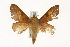  ( - TAMUICEGR-0778)  @14 [ ] CreativeCommons - Attribution (2010) CBG Photography Group Centre for Biodiversity Genomics