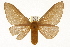  ( - TAMUICEGR-0779)  @13 [ ] CreativeCommons - Attribution (2010) CBG Photography Group Centre for Biodiversity Genomics