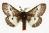  ( - TAMUICEGR-0798)  @14 [ ] CreativeCommons - Attribution (2010) CBG Photography Group Centre for Biodiversity Genomics