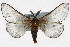  ( - TAMUICEGR-0801)  @11 [ ] CreativeCommons - Attribution (2010) CBG Photography Group Centre for Biodiversity Genomics