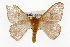  ( - TAMUICEGR-0803)  @13 [ ] CreativeCommons - Attribution (2010) CBG Photography Group Centre for Biodiversity Genomics