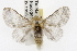 ( - TAMUICEGR-0814)  @14 [ ] CreativeCommons - Attribution (2010) CBG Photography Group Centre for Biodiversity Genomics