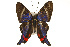  ( - TAMUICEGR-0838)  @11 [ ] CreativeCommons - Attribution (2010) CBG Photography Group Centre for Biodiversity Genomics