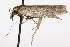  ( - TAMUICEGR-0940)  @13 [ ] CreativeCommons - Attribution (2010) CBG Photography Group Centre for Biodiversity Genomics
