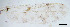  ( - sun12)  @11 [ ] CreativeCommons - Attribution Non-Commercial Share-Alike (2020) Xiaolong Lin College of Life Sciences, Nankai Unviersity