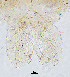  ( - sun124)  @11 [ ] CreativeCommons - Attribution Non-Commercial Share-Alike (2020) Xiaolong Lin College of Life Sciences, Nankai Unviersity