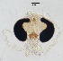  ( - sun128)  @11 [ ] CreativeCommons - Attribution Non-Commercial Share-Alike (2020) Xiaolong Lin College of Life Sciences, Nankai Unviersity