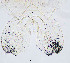  ( - sun142)  @11 [ ] CreativeCommons - Attribution Non-Commercial Share-Alike (2020) Xiaolong Lin College of Life Sciences, Nankai Unviersity