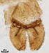  ( - sun163)  @11 [ ] CreativeCommons - Attribution Non-Commercial Share-Alike (2020) Xiaolong Lin College of Life Sciences, Nankai Unviersity