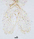  ( - sun164)  @11 [ ] CreativeCommons - Attribution Non-Commercial Share-Alike (2020) Xiaolong Lin College of Life Sciences, Nankai Unviersity