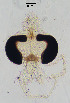  ( - sun181)  @11 [ ] CreativeCommons - Attribution Non-Commercial Share-Alike (2020) Xiaolong Lin College of Life Sciences, Nankai Unviersity