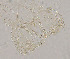  ( - sun186)  @11 [ ] CreativeCommons - Attribution Non-Commercial Share-Alike (2020) Xiaolong Lin College of Life Sciences, Nankai Unviersity