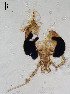  ( - sun19)  @11 [ ] CreativeCommons - Attribution Non-Commercial Share-Alike (2020) Xiaolong Lin College of Life Sciences, Nankai Unviersity