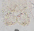  ( - sun197)  @11 [ ] CreativeCommons - Attribution Non-Commercial Share-Alike (2020) Xiaolong Lin College of Life Sciences, Nankai Unviersity