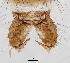  ( - sun217)  @12 [ ] CreativeCommons - Attribution Non-Commercial Share-Alike (2020) Xiaolong Lin College of Life Sciences, Nankai Unviersity