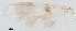  ( - sun219)  @12 [ ] CreativeCommons - Attribution Non-Commercial Share-Alike (2020) Xiaolong Lin College of Life Sciences, Nankai Unviersity