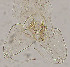  ( - sun229)  @11 [ ] CreativeCommons - Attribution Non-Commercial (2020) Xiaolong Lin Nankai University, College of Life Sciences