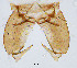  ( - sun234)  @12 [ ] CreativeCommons - Attribution Non-Commercial Share-Alike (2020) Xiaolong Lin College of Life Sciences, Nankai Unviersity