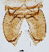  ( - sun236)  @12 [ ] CreativeCommons - Attribution Non-Commercial Share-Alike (2020) Xiaolong Lin College of Life Sciences, Nankai Unviersity
