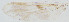  ( - sun238)  @12 [ ] CreativeCommons - Attribution Non-Commercial Share-Alike (2020) Xiaolong Lin College of Life Sciences, Nankai Unviersity