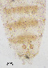  ( - sun254)  @11 [ ] CreativeCommons - Attribution Non-Commercial Share-Alike (2020) Xiaolong Lin College of Life Sciences, Nankai Unviersity