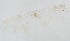  ( - sun268)  @11 [ ] CreativeCommons - Attribution Non-Commercial Share-Alike (2020) Xiaolong Lin College of Life Sciences, Nankai Unviersity