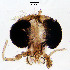  ( - sun273)  @11 [ ] CreativeCommons - Attribution Non-Commercial Share-Alike (2020) Xiaolong Lin College of Life Sciences, Nankai Unviersity