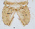  ( - sun279)  @11 [ ] CreativeCommons - Attribution Non-Commercial Share-Alike (2020) Xiaolong Lin College of Life Sciences, Nankai Unviersity