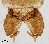  ( - sun299)  @11 [ ] CreativeCommons - Attribution Non-Commercial Share-Alike (2020) Xiaolong Lin College of Life Sciences, Nankai Unviersity
