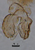  ( - sun32)  @11 [ ] CreativeCommons - Attribution Non-Commercial Share-Alike (2020) Xiaolong Lin College of Life Sciences, Nankai Unviersity