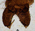  ( - sun326)  @12 [ ] CreativeCommons - Attribution Non-Commercial Share-Alike (2020) Xiaolong Lin College of Life Sciences, Nankai Unviersity