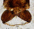  ( - sun327)  @11 [ ] CreativeCommons - Attribution Non-Commercial Share-Alike (2020) Xiaolong Lin College of Life Sciences, Nankai Unviersity