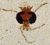  ( - sun337)  @11 [ ] CreativeCommons - Attribution Non-Commercial Share-Alike (2020) Xiaolong Lin College of Life Sciences, Nankai Unviersity