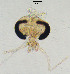  ( - sun394)  @11 [ ] CreativeCommons - Attribution Non-Commercial Share-Alike (2020) Xiaolong Lin College of Life Sciences, Nankai Unviersity