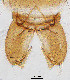  ( - sun416)  @12 [ ] CreativeCommons - Attribution Non-Commercial Share-Alike (2020) Xiaolong Lin College of Life Sciences, Nankai Unviersity