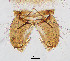  ( - sun421)  @11 [ ] CreativeCommons - Attribution Non-Commercial Share-Alike (2020) Xiaolong Lin College of Life Sciences, Nankai Unviersity