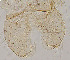  ( - sun426)  @12 [ ] CreativeCommons - Attribution Non-Commercial Share-Alike (2020) Xiaolong Lin College of Life Sciences, Nankai Unviersity