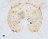  ( - sun428)  @11 [ ] CreativeCommons - Attribution Non-Commercial Share-Alike (2020) Xiaolong Lin College of Life Sciences, Nankai Unviersity