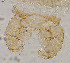  ( - sun429)  @11 [ ] CreativeCommons - Attribution Non-Commercial Share-Alike (2020) Xiaolong Lin College of Life Sciences, Nankai Unviersity