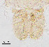 ( - sun431)  @12 [ ] CreativeCommons - Attribution Non-Commercial Share-Alike (2020) Xiaolong Lin College of Life Sciences, Nankai Unviersity
