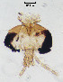  ( - sun437)  @11 [ ] CreativeCommons - Attribution Non-Commercial Share-Alike (2020) Xiaolong Lin College of Life Sciences, Nankai Unviersity