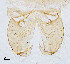  ( - sun441)  @12 [ ] CreativeCommons - Attribution Non-Commercial Share-Alike (2020) Xiaolong Lin College of Life Sciences, Nankai Unviersity