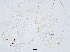 ( - sun442)  @11 [ ] CreativeCommons - Attribution Non-Commercial Share-Alike (2020) Xiaolong Lin College of Life Sciences, Nankai Unviersity