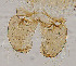 ( - sun449)  @11 [ ] CreativeCommons - Attribution Non-Commercial Share-Alike (2020) Xiaolong Lin College of Life Sciences, Nankai Unviersity