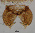  ( - sun54)  @11 [ ] CreativeCommons - Attribution Non-Commercial Share-Alike (2020) Xiaolong Lin College of Life Sciences, Nankai Unviersity