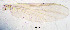  ( - sun78)  @11 [ ] CreativeCommons - Attribution Non-Commercial Share-Alike (2020) Xiaolong Lin College of Life Sciences, Nankai Unviersity