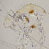  ( - sun84)  @12 [ ] CreativeCommons - Attribution Non-Commercial Share-Alike (2020) Xiaolong Lin College of Life Sciences, Nankai Unviersity