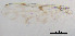  ( - sun91)  @11 [ ] CreativeCommons - Attribution Non-Commercial Share-Alike (2020) Xiaolong Lin College of Life Sciences, Nankai Unviersity