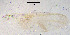  ( - sun94)  @12 [ ] CreativeCommons - Attribution Non-Commercial Share-Alike (2020) Xiaolong Lin College of Life Sciences, Nankai Unviersity