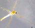  ( - WZSM01)  @12 [ ] CreativeCommons - Attribution Non-Commercial Share-Alike (2014) NTNU University Museum, Department of Natural History NTNU University Museum, Department of Natural History